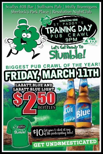 st-paddy-s-training-day-pub-crawl